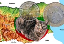 Bulgaria: eurolle leijonan osa