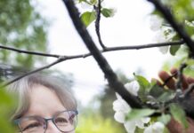 Kristillisten kirkkojen vastaus ekokatastrofiin Pauliina Kainulainen