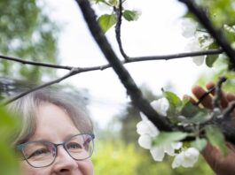 Pauliina Kainulainen