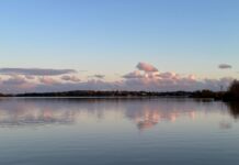 Ekomedialukutaito tuo uusia sävyjä tekoälykeskusteluun Kuva: Kaupunkiluontomaisemaa Helsingin Arabianrannassa, Iina Helenius