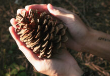 Universaali lähestymistapa sosiaaliturvaan rakentaa kestävää hyvinvointia